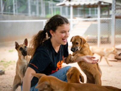 Soi Dog Foundation Thailand