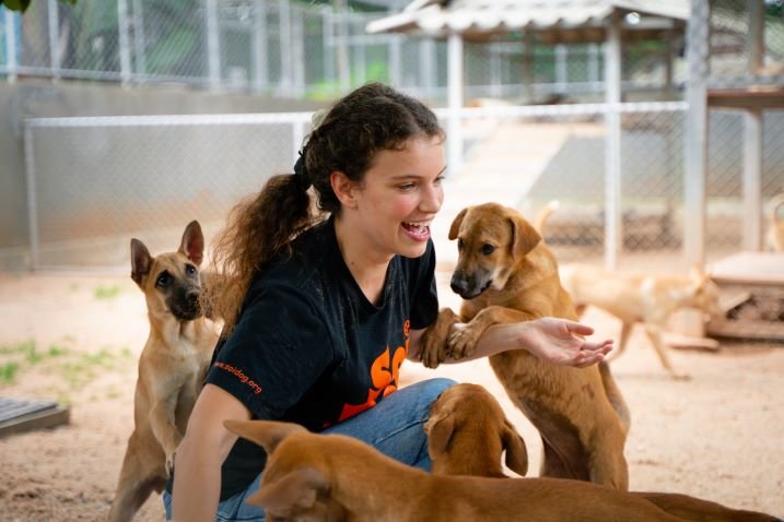 Soi Dog Foundation Thailand