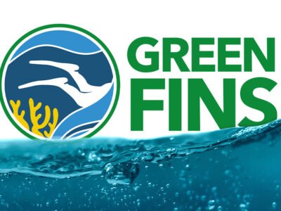 Green Fins Thailand