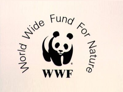 World Wide Fund for Nature