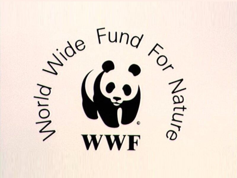World Wide Fund for Nature